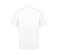 CLASSIC OXFORD SHORT SLEEVED SHIRT